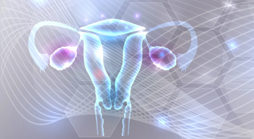 Ваша интимная эстетика!  Подарите себе нежность с выгодой 15% на услугу Введение препаратов гиалуроновой кислоты  в гинекологии ! Только в марте!